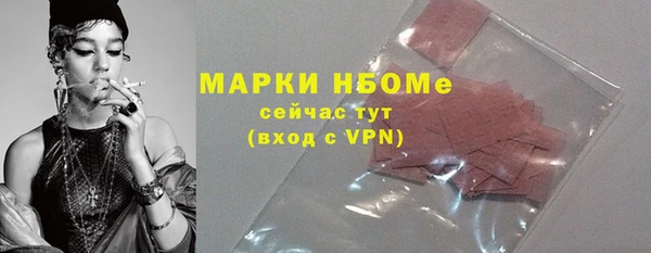 индика Алексин