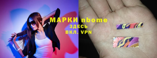 индика Алексин