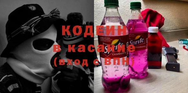 индика Алексин