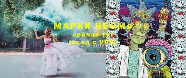 индика Алексин