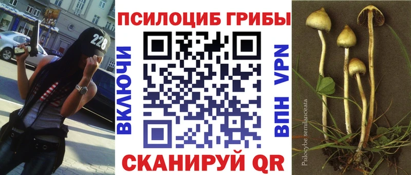 Галлюциногенные грибы Psilocybine cubensis  кракен ссылки  Октябрьский  купить наркотики цена 